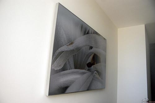 Untitled by Anastasiy Safari, Custom made silver frame, 2010